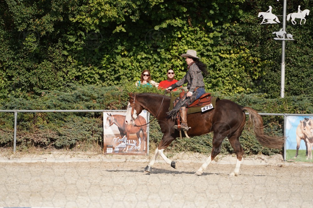 s_A_908404.JPG
